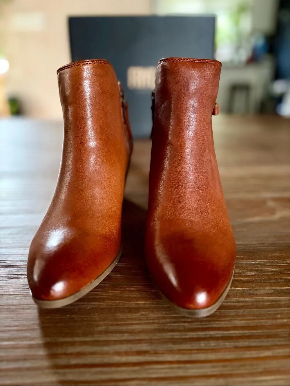 NWB Frye Judith Zip Leather Booties